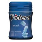 Chiclete Trident Garrafa Hortelã 40,6g