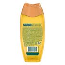 Sabonete Líquido Palmolive Naturals Óleo de Argan 250ml