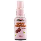 Spray Própolis Assiflora Romã 30ml