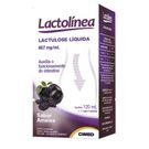 Lactolinea Ameixa 120ml