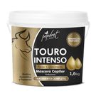 Máscara Capilar Popdrat Touro Intenso 1,6Kg