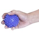 Bola Fisioterápica Ortho Pahuer P