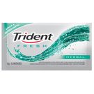 Chiclete Trident Herbal Xfresh 8g