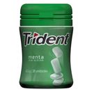 Chiclete Trident Garrafa  Menta 40,6g