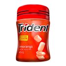 Chiclete Trident Garrafa Morango 40,6g