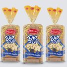 Pão Forma Milani Passas Canela 400g