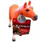 Cavalos Coleção Bicho Mundi