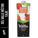 Suco Del Vale Mais Néctar De Caju 1 L