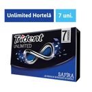 Chiclete Trident Unlimited  Hortelã 13,3g