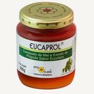 Mel Própolis Apis Flora Eucaprol 300g