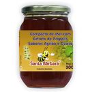Mel Própolis Santa Bárbara Agrião Guaco 300g