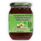 Mel Própolis Santa Bárbara Eucalipto 300g
