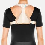 clavicula