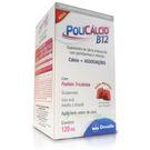 Policalcio B12 Suspensão Oral 120ml