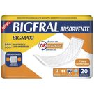 Absorvente Geriátrico Bigmaxi 20 Unidades