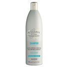 Shampoo Salone Cachos 500ml
