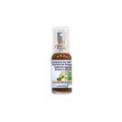 Mel Própolis Santa Bárbara Spray Guaco/Agrião/Menta 35ml