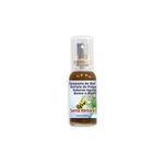 Mel-Propolis-Santa-Barbara-Spray-Guaco-Agriao-Menta-35ml