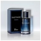 Perfume Dior Sauvage Masculino Eau de Toilette 100ml
