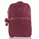 Mochila Luxcel Crinkle Vinho