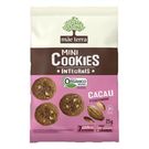Cookie Integral Orgânico Mãe Terra Cacau e Castanhas 25g