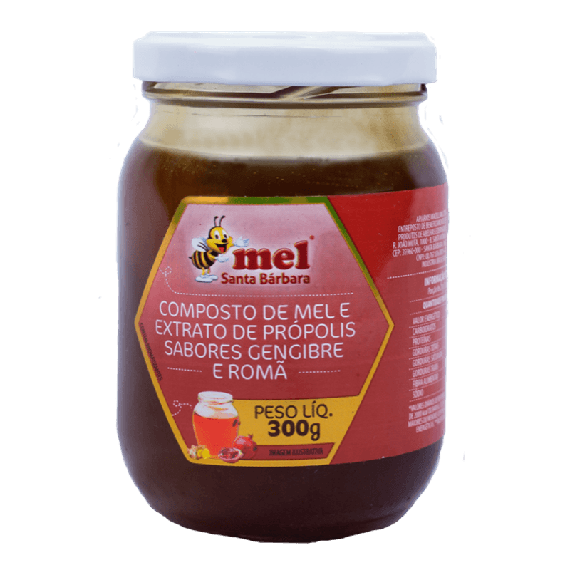 110007---Mel-Santa-Barbara-composto-roma-e-gengibre-300g