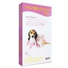 Revolution 6% Cães e Gatos Filhotes 15 mg