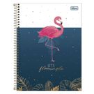 Caderno Tilibra Capa Dura 10 Matérias Flamingo 160 Folhas