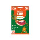 Lápis de Cor Leonora 36 Unidades