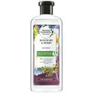Shampoo Herbal Essences Alecrim e Ervas