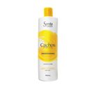 Umidificador Capilar Sveda Hair Contra Frizz Cachos Perfeitos 500ml
