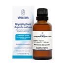 Bryophyllum Argento Cultum 50ml