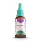 Floral Thérapi Setechakras 30ml