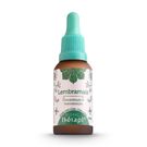 Floral Thérapi Lembramais 30ml