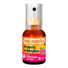 Melagrião Spray Kids Tutti Frutti 30ml