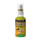 Spray Própolis Assiflora Premium Gengibre 30ml