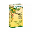 Espinheira Santa 380mg com 45 Cápsulas