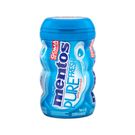 Chiclete Mentos Pure Fresh Mint Garrafa 92g