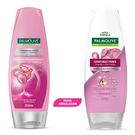 Shampoo Palmolive Naturals Ceramidas Force 350ml
