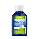 Leite De Magnésia Magmax Tradicional 100ml