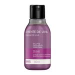 Oleo-Capilar-e-Corporal-Farmax-Semente-Uva-100ml
