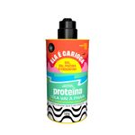 -arquivos-ids-264864-Proteina-Capilar-Lola-Ela-e-Carioca-500g.jpg