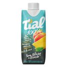 Suco Tial 100% Maça + Manga 330ml