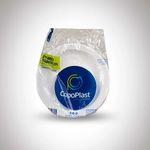 prato-descartavel-raso-15cm-10-unidades-1