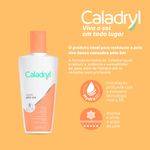 7896004780061---Caladryl-Pos-Sol-Locao-100Ml-Frasco---1.jpg