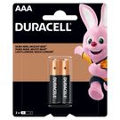 Pilha Alcalina Duracell AAA Palito 2 Unidades