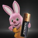 Pilha Alcalina Duracell AAA Palito 2 Unidades