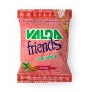 Pastilhas Valda Friends Canela 25g