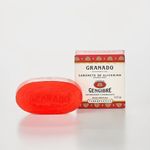 sabonete-granado-glicerina-terrapeutics-gengibre-90g-1