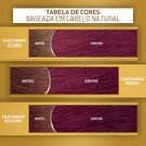 Tintura Cor E Ton + Ox Vermelhos 4.66 Bordeaux 125 G.